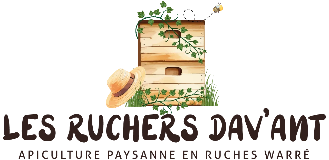 Les ruchers Dav'ant