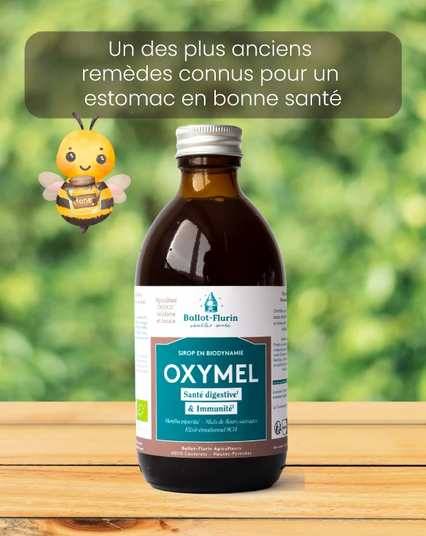 Oxymel - sirop de vinaigre, menthe et miel Ballot-Flurin