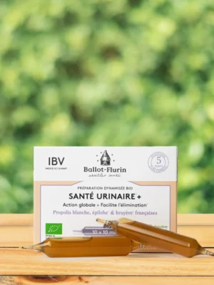 Préparation dynamisée santé urinaire Ballot-Flurin